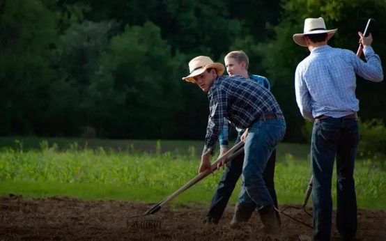 Companion Planting: Discover Plants That Thrive Together