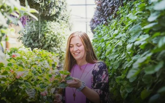 Creating a Low-Maintenance Flower Garden: Tips and Tricks