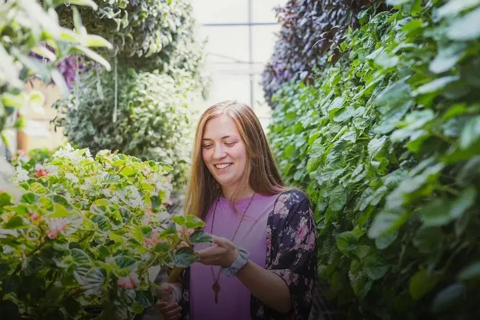 Creating a Low-Maintenance Flower Garden: Tips and Tricks