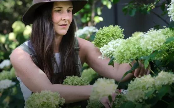 How to Choose the Right Plants for Your Home Garden: Easy Tips