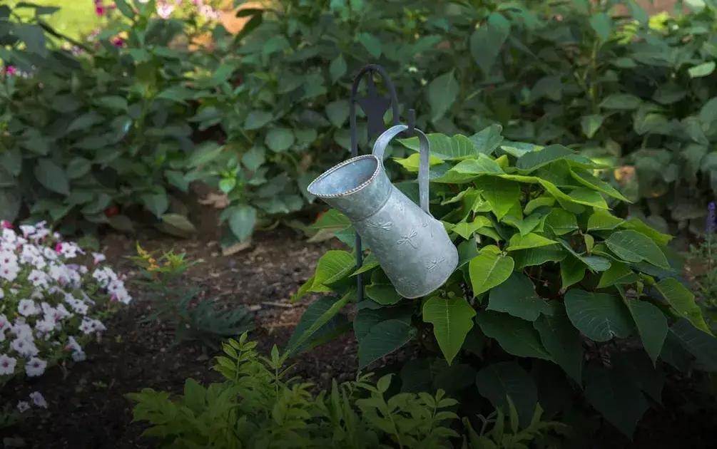 Top Plant Pairs for Your Garden